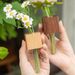 Ready Stock Wooden Test Tube Hydroponic Propagation Vase, Magnet Fridge Mini Planter Kitchen Locker Home Decor Ornament
_maomaolike.com