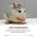 MoonSpry Minty Rat Repellent, Home And Outdoor Rat Repellent, Car Repellent_maomaolike.com