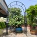 Metal Garden Arch L42.24'' X W17.52'' X H85.82'' Climbing Plants Support Rose Arch Outdoor Black_maomaolike.com