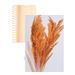 Green Plant Ornament Bouquet Decoration Champagne Color Hall Internet Celebrity Wedding Artificial Fake Flowers Direct_maomaolike.com
