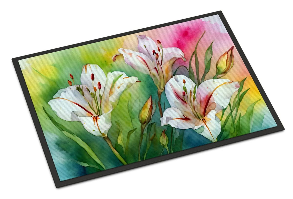 Utah Sego Lilies In Watercolor Doormat Front Door Mat Indoor Outdoor Rugs For Entryway, Non Slip Washable Low Pile, 24H X 36W_maomaolike.com