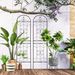 2 Pack Metal Garden Trellis 86.7" X 19.7" Rustproof Trellis For Climbing Plants Outdoor Flower Support Black_maomaolike.com