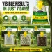 Hanging Bag With Bait Disposable Flies Non-Toxic Mosquito Trap Catcher Fly Wasp Insect Bug Killer For Outdoor_maomaolike.com