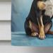 Black And Tan Chihuahua Happy Birthday House Flag Large Porch Sleeve Pole Decorative Outside Yard Banner Artwork Wall Hanging, Polyester, House Size, Multicolor_maomaolike.com