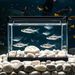 18LBS/8KG High Polished Natural Decorative Stones - Ideal For Garden Paths, Yard Decor, Aquariums (1.8 - 2.6inch), Vases, Plants & Landscaping! Perfect For Horticultural Use, Vase Filling_maomaolike.com