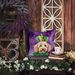 Labradoodle King Of Mardi Gras Throw Pillow Machine Washable, Indoor Outdoor Decorative Pillow For Couch, Bed Or Patio, 18Hx18W_maomaolike.com