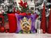 Yorkshire Terrier King Of Mardi Gras Throw Pillow Machine Washable, Indoor Outdoor Decorative Pillow For Couch, Bed Or Patio, 14Hx14W_maomaolike.com