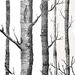 Bedroom Wood Grain Black Birch Removable Waterproof Self-Adhesive Decorative Wallpaper Wall Sticker_maomaolike.com