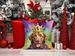 Chesapeake Bay Retriever King Of Mardi Gras Throw Pillow Machine Washable, Indoor Outdoor Decorative Pillow For Couch, Bed Or Patio, 14Hx14W_maomaolike.com