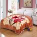 Winter Flannel Fleece Throw Blanket, Ultra Soft Warm Double Layer Bed Cover, Couch Sofa Home Office Gift Set, 150x200cm_maomaolike.com