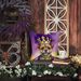 Border Terrier King Of Mardi Gras Throw Pillow Machine Washable, Indoor Outdoor Decorative Pillow For Couch, Bed Or Patio, 14Hx14W_maomaolike.com