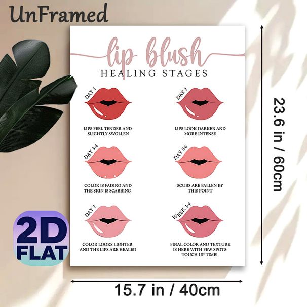 Lip Blush Healing Stages Painting Poster, Clean Minimalist Lip Aftercare Guide Poster, Detailed Healing Phase Illustration, Suitable For Beauty Salons_maomaolike.com
