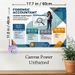 Forensic Accountant Career Snapshot Painting Poster, Informative Modern Graphic Poster, Educational Career Guide Detailing Roles, Tools & Skills_maomaolike.com