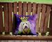 Komondor King Of Mardi Gras Throw Pillow Machine Washable, Indoor Outdoor Decorative Pillow For Couch, Bed Or Patio, 14Hx14W_maomaolike.com