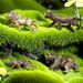 Copper-Plated Leopard Crocodile Antique Bear Overlord Lion Animal Small Figurine Wholesale_maomaolike.com