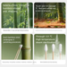 Double-Tipped Cotton Swabs - For Ear Cleaning, Makeup, & Home Hygiene_maomaolike.com