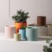 Nordic Style Morandi INS Ceramic Flower Pot Succulent Plant Modern Simple Personality Green Radish With Logo_maomaolike.com