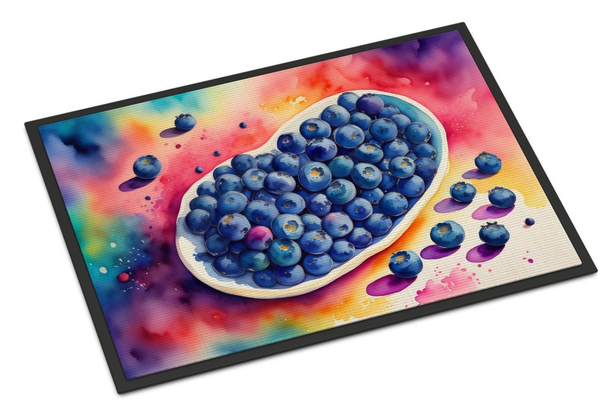 Colorful Blueberries Doormat Front Door Mat Indoor Outdoor Rugs For Entryway, Non Slip Washable Low Pile, 24H X 36W_maomaolike.com