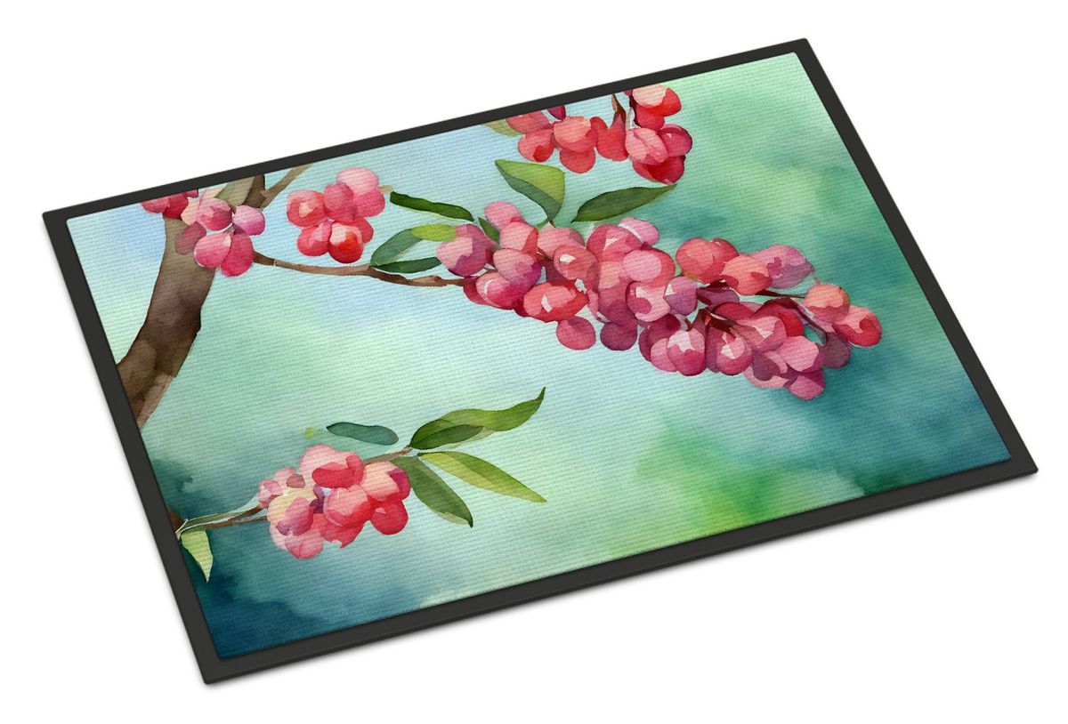 Pennsylvania Mountain Laurels In Watercolor Doormat Front Door Mat Indoor Outdoor Rugs For Entryway, Non Slip Washable Low Pile, 24H X 36W_maomaolike.com