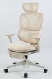 Ergonomic Office Chair With Footrest, High Back Computer Office Chair With Dynamic Lumbar Support, 2D Headrest, 2D Armrest, Sponge Seat, Mesh Home Office Desk Chair For Adults, CREAM_maomaolike.com