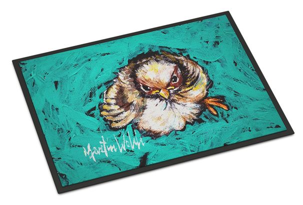 Fiest Chic Bird Doormat Front Door Mat Indoor Outdoor Rugs For Entryway, Non Slip Washable Low Pile, 24H X 36W_maomaolike.com