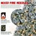 120cm Full Hard Needle TreehRcD_maomaolike.com