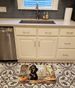 Chocolate Lab Fall Kitchen Pumpkins Memory Foam Kitchen Mat Machine Washable Anti-Fatigue Mat Cushion Comfort Bath Mat Or Kitchen Rug_maomaolike.com