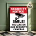 Security Notice Painting Poster, Bold Black-and-White Security Camera Graphic Poster, Clear Monitoring Warning Reminder, Suitable For Shops, Offices_maomaolike.com