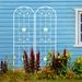 2 Pack Metal Garden Trellis 86.7" X 19.7" Rustproof Trellis For Climbing Plants Outdoor Flower Support Cream White_maomaolike.com