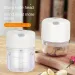 Multifunctional Electric Garlic Chopper 100/250mL Portable Vegetable Grinder Onion Mixer Mashing Machine For Kitchen_maomaolike.com
