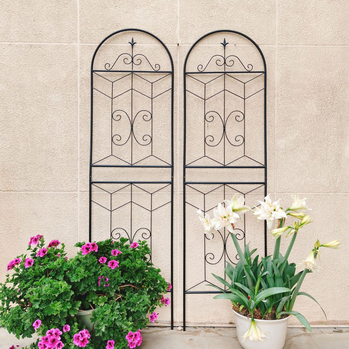 2 Pack Metal Garden Trellis 71" X 19.7" Rustproof Trellis For Climbing Plants Outdoor Flower Support Black_maomaolike.com