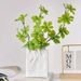 Creative Home Decor Items, High-value Flower Vases, Restaurant Flower Arrangements, Hydroponic Dried Flower Vases, Plain White Seashell Vases_maomaolike.com