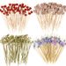 100Pcs Disposable Bamboo Skewer Hawaiian Flamingo Pearl Tail Picks Buffet Food Fruit Forks For Wedding Birthday Party_maomaolike.com