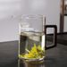 【 4567 People's Collection 】 High Temperature Resistant Glass Pot, Green Maker, Filter Cup, Heat-resistant Tea_maomaolike.com