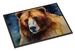 Kodiak Bear Doormat Front Door Mat Indoor Outdoor Rugs For Entryway, Non Slip Washable Low Pile, 24H X 36W_maomaolike.com