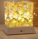 Mirror Tulip Rose Sea Ornament DIY Cube Mirror Ambiance Night Light Gift For Girlfriends And Couples_maomaolike.com