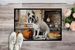 Boxer Fall Kitchen Pumpkins Doormat Front Door Mat Indoor Outdoor Rugs For Entryway, Non Slip Washable Low Pile, 24H X 36W_maomaolike.com
