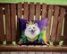 American Eskimo King Of Mardi Gras Throw Pillow Machine Washable, Indoor Outdoor Decorative Pillow For Couch, Bed Or Patio, 14Hx14W_maomaolike.com