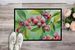 Connecticut Mountain Laurels In Watercolor Doormat Front Door Mat Indoor Outdoor Rugs For Entryway, Non Slip Washable Low Pile, 24H X 36W_maomaolike.com