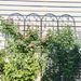 2 Pack Metal Garden Trellis 86.7" X 19.7" Rustproof Trellis For Climbing Plants Outdoor Flower Support Dragonfly Deco Black_maomaolike.com