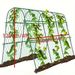 120*160cm, Outdoor Garden Arched Plant Climbing Frame With Climbing Vine Net, Cucumber, Pumpkin, Fruit And Vegetable Rack_maomaolike.com