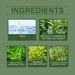 Ximonth Repellent Quick Dry Green Tea Spray Cooling Plant Soothing Mosquito Repellent Mild Smell Fresh_maomaolike.com