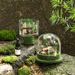 Natural Mountain Fir Series Flameless Aromatherapy Set Diffuser Stone Home Decor Valentine's Day Christmas Gift_maomaolike.com