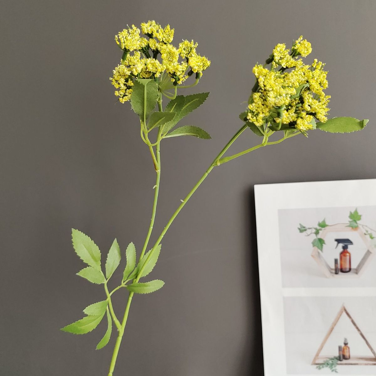 Artificial Foam 2-Head Fennel, Lace, Greenery, Gypsophila For Nordic Home Decor, Model Room, And Wedding Design_maomaolike.com