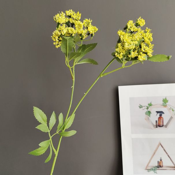 Artificial Foam 2-Head Fennel, Lace, Greenery, Gypsophila For Nordic Home Decor, Model Room, And Wedding Design_maomaolike.com