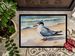 Tern Resting Doormat Front Door Mat Indoor Outdoor Rugs For Entryway, Non Slip Washable Low Pile, 24H X 36W_maomaolike.com