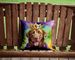 Chesapeake Bay Retriever King Of Mardi Gras Throw Pillow Machine Washable, Indoor Outdoor Decorative Pillow For Couch, Bed Or Patio, 14Hx14W_maomaolike.com