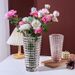 Home Transparent Crystal Glass Vase Nordic Light Luxury Ins Style Living Room Hotel Arrangement Ornament Fresh Flower_maomaolike.com