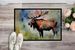 Moose Doormat Front Door Mat Indoor Outdoor Rugs For Entryway, Non Slip Washable Low Pile, 24H X 36W_maomaolike.com