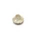 Unisex Simple Sea Shell Hair Clip Mini Acetate Clip Personality bangs clip Top clip Side clip Broken hair clip_maomaolike.com